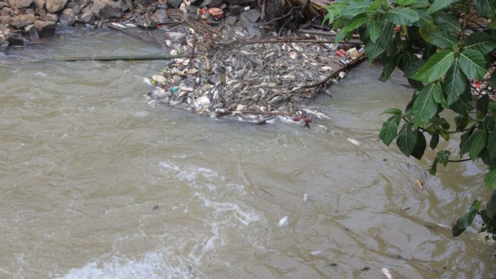 IMG_20260210_172722_854