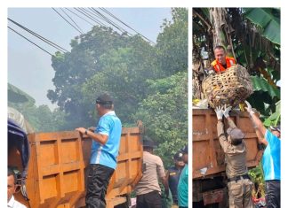 Desa Serdang Kulon Bersama Kecamatan Panongan Gelar Aksi Bersih Sampah di Kp. Bunderan