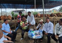 Dadang Sudrajat.S.Sos,.MM,M.Si Camat Kelapa Dua Sambut Rombongan Bupati Tangerang