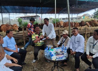 Dadang Sudrajat.S.Sos,.MM,M.Si Camat Kelapa Dua Sambut Rombongan Bupati Tangerang