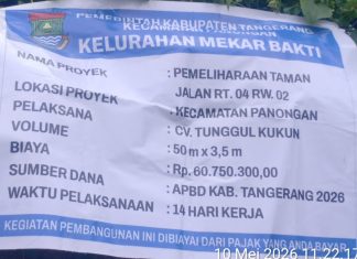 Diduga Tak Sesuai Spesifikasi, Proyek Pemeliharaan Taman di Mekar Bakti Jadi Sorotan
